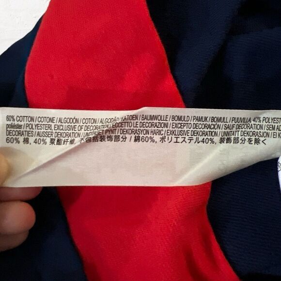 Disneyland Resort Team Mickey Mouse Patriotic Sweatshirt USA Flag Unisex L - Picture 7 of 9